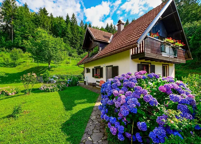 Bozica By Interhome * Brod na Kupi