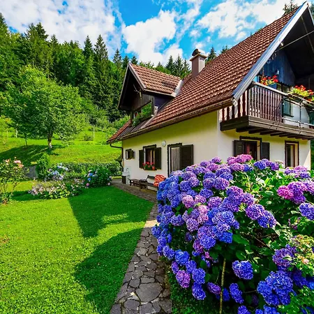 Bozica By Interhome * Brod na Kupi